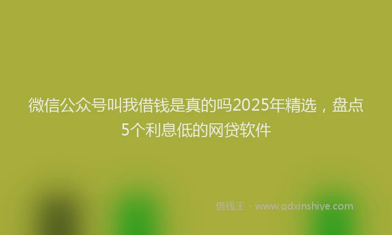 微信公众号叫我借钱是真的吗2025年精选，盘点5个利息低的网贷软件
