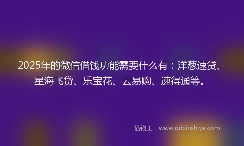 2025年的微信借钱功能需要什么有：洋葱速贷、星海飞贷、乐宝花、云易购、速得通等。