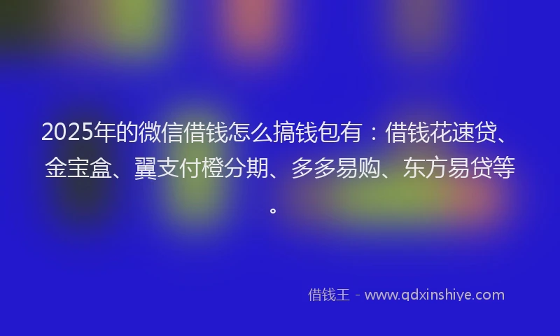 2025年的微信借钱怎么搞钱包有：借钱花速贷、金宝盒、翼支付橙分期、多多易购、东方易贷等。
