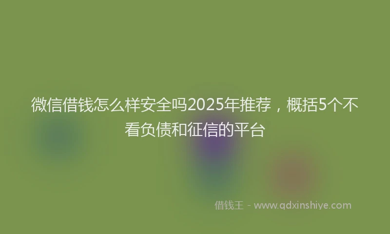 微信借钱怎么样安全吗2025年推荐，概括5个不看负债和征信的平台