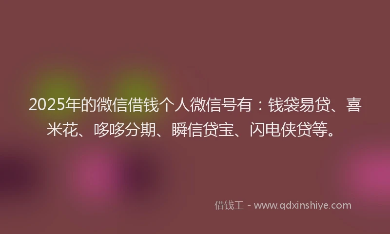 2025年的微信借钱个人微信号有：钱袋易贷、喜米花、哆哆分期、瞬信贷宝、闪电侠贷等。