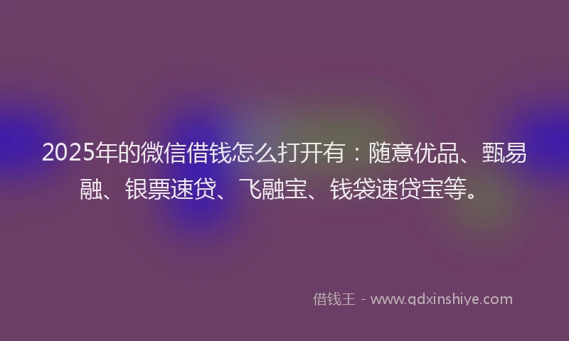 2025年的微信借钱怎么打开有：随意优品、甄易融、银票速贷、飞融宝、钱袋速贷宝等。