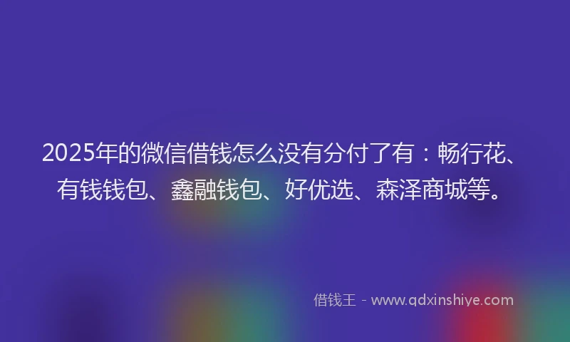2025年的微信借钱怎么没有分付了有：畅行花、有钱钱包、鑫融钱包、好优选、森泽商城等。