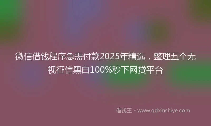 微信借钱程序急需付款2025年精选，整理五个无视征信黑白100%秒下网贷平台