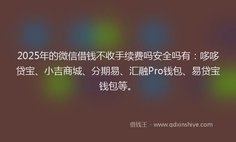 2025年的微信借钱不收手续费吗安全吗有：哆哆贷宝、小吉商城、分期易、汇融Pro钱包、易贷宝钱包等。