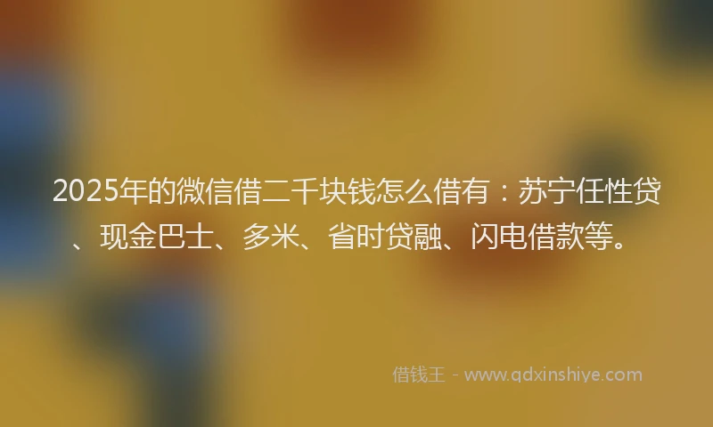 2025年的微信借二千块钱怎么借有：苏宁任性贷、现金巴士、多米、省时贷融、闪电借款等。