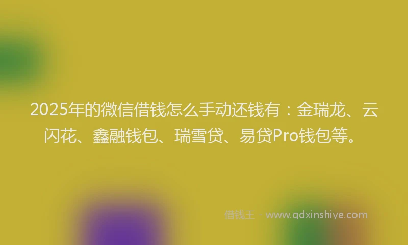2025年的微信借钱怎么手动还钱有：金瑞龙、云闪花、鑫融钱包、瑞雪贷、易贷Pro钱包等。