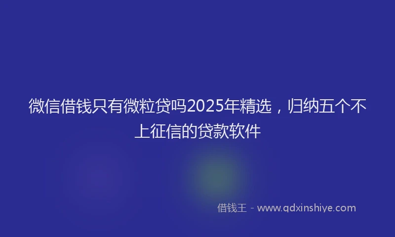 微信借钱只有微粒贷吗2025年精选，归纳五个不上征信的贷款软件