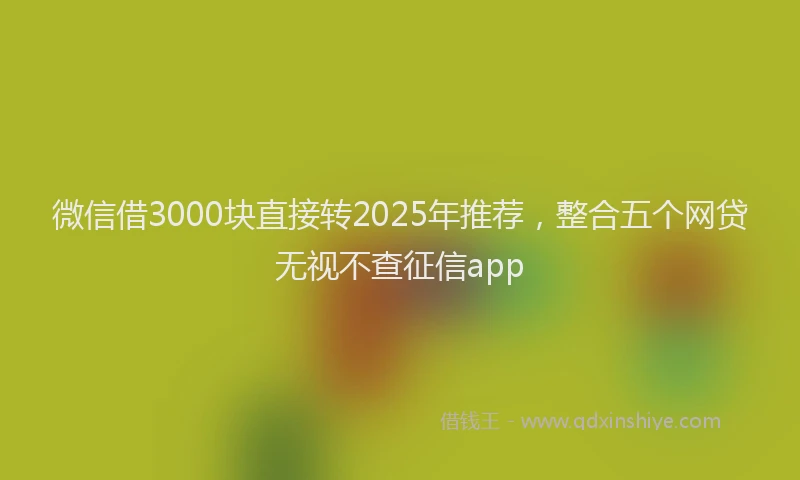 微信借3000块直接转2025年推荐，整合五个网贷无视不查征信app