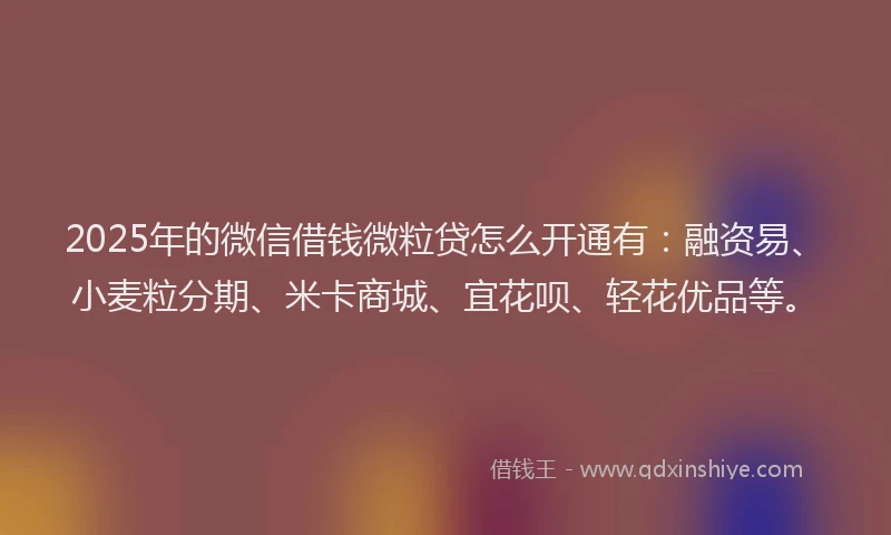2025年的微信借钱微粒贷怎么开通有：融资易、小麦粒分期、米卡商城、宜花呗、轻花优品等。