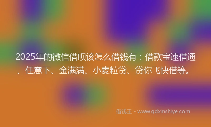 2025年的微信借呗该怎么借钱有：借款宝速借通、任意下、金满满、小麦粒贷、贷你飞快借等。