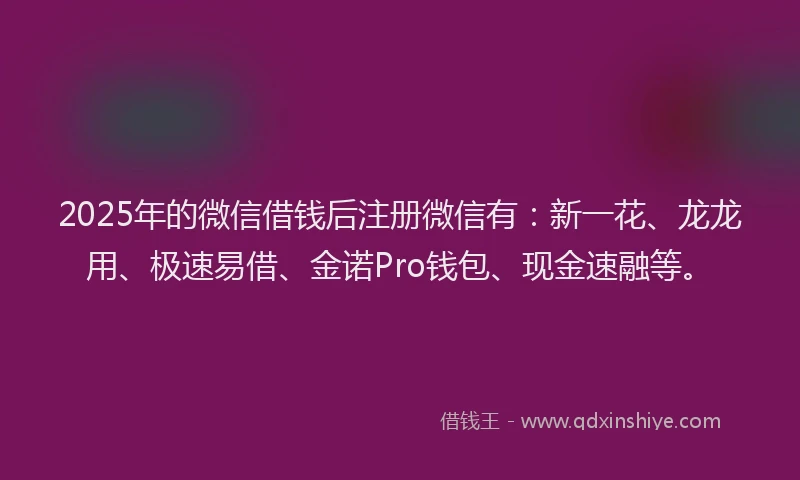 2025年的微信借钱后注册微信有：新一花、龙龙用、极速易借、金诺Pro钱包、现金速融等。