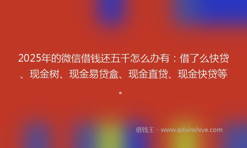 2025年的微信借钱还五千怎么办有：借了么快贷、现金树、现金易贷盒、现金直贷、现金快贷等。