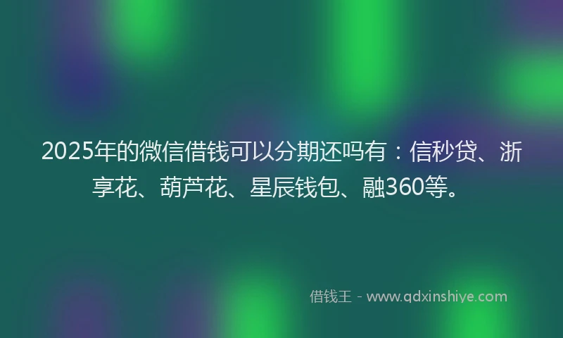 2025年的微信借钱可以分期还吗有：信秒贷、浙享花、葫芦花、星辰钱包、融360等。