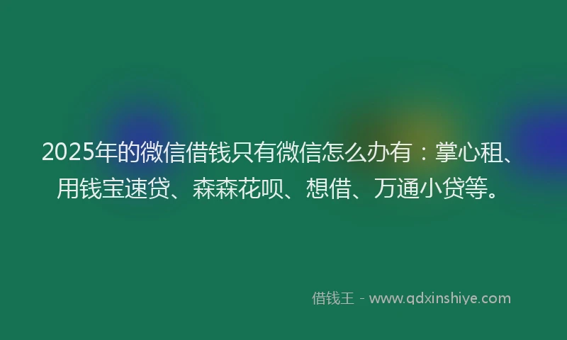 2025年的微信借钱只有微信怎么办有：掌心租、用钱宝速贷、森森花呗、想借、万通小贷等。