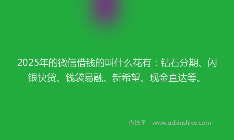 2025年的微信借钱的叫什么花有：钻石分期、闪银快贷、钱袋易融、新希望、现金直达等。