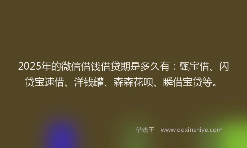 2025年的微信借钱借贷期是多久有：甄宝借、闪贷宝速借、洋钱罐、森森花呗、瞬借宝贷等。