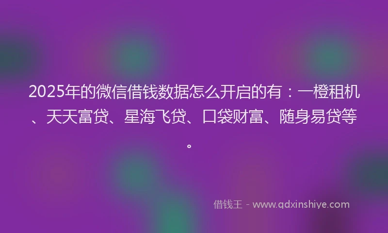 2025年的微信借钱数据怎么开启的有：一橙租机、天天富贷、星海飞贷、口袋财富、随身易贷等。