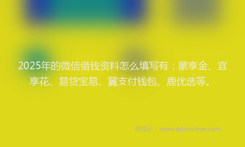 2025年的微信借钱资料怎么填写有：蒙享金、宜享花、易贷宝易、翼支付钱包、鹿优选等。