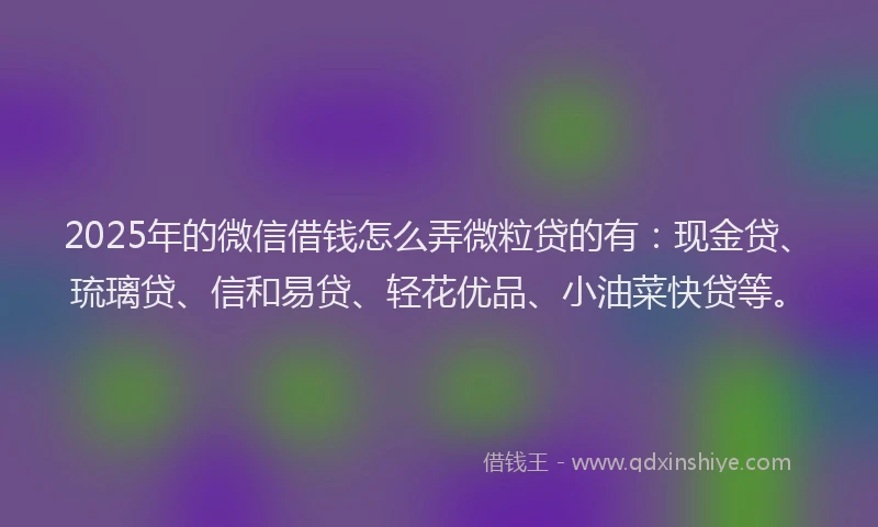 2025年的微信借钱怎么弄微粒贷的有：现金贷、琉璃贷、信和易贷、轻花优品、小油菜快贷等。