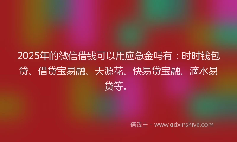 2025年的微信借钱可以用应急金吗有：时时钱包贷、借贷宝易融、天源花、快易贷宝融、滴水易贷等。