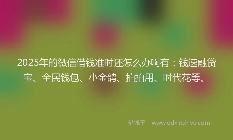 2025年的微信借钱准时还怎么办啊有：钱速融贷宝、全民钱包、小金鸽、拍拍用、时代花等。