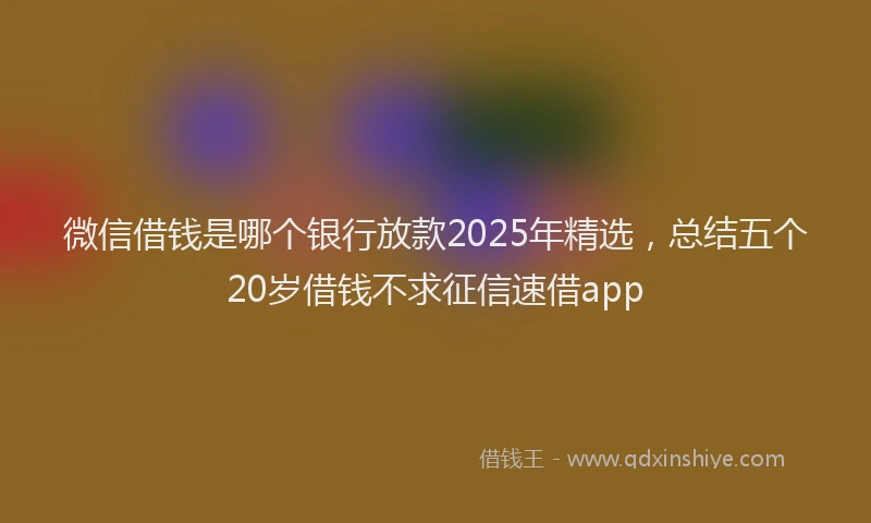 微信借钱是哪个银行放款2025年精选，总结五个20岁借钱不求征信速借app