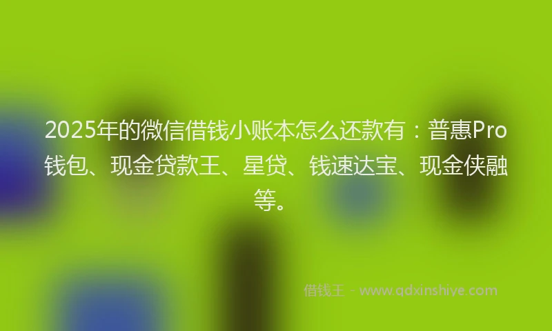 2025年的微信借钱小账本怎么还款有：普惠Pro钱包、现金贷款王、星贷、钱速达宝、现金侠融等。