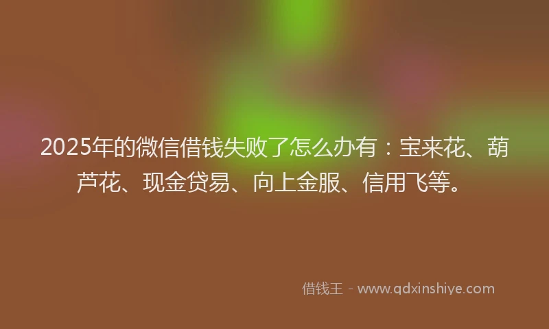 2025年的微信借钱失败了怎么办有：宝来花、葫芦花、现金贷易、向上金服、信用飞等。