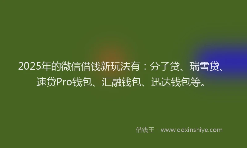 2025年的微信借钱新玩法有：分子贷、瑞雪贷、速贷Pro钱包、汇融钱包、迅达钱包等。