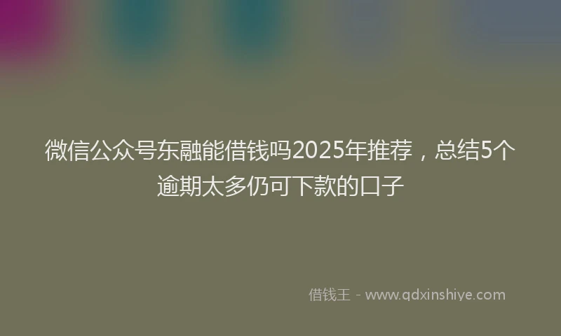 微信公众号东融能借钱吗2025年推荐，总结5个逾期太多仍可下款的口子