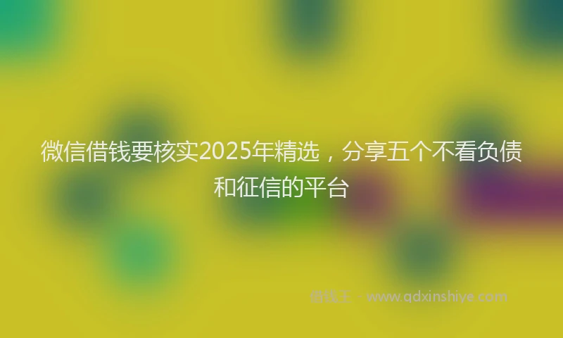 微信借钱要核实2025年精选，分享五个不看负债和征信的平台