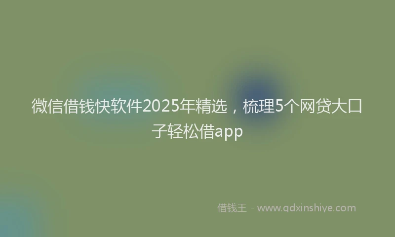 微信借钱快软件2025年精选，梳理5个网贷大口子轻松借app