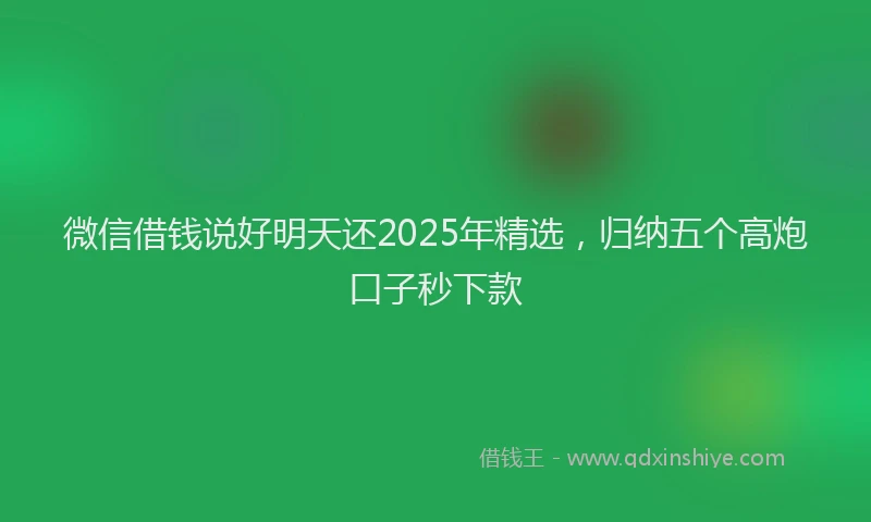 微信借钱说好明天还2025年精选，归纳五个高炮口子秒下款