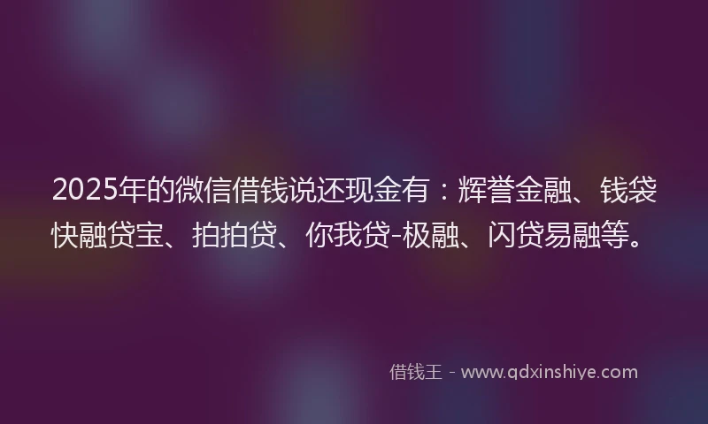 2025年的微信借钱说还现金有：辉誉金融、钱袋快融贷宝、拍拍贷、你我贷-极融、闪贷易融等。