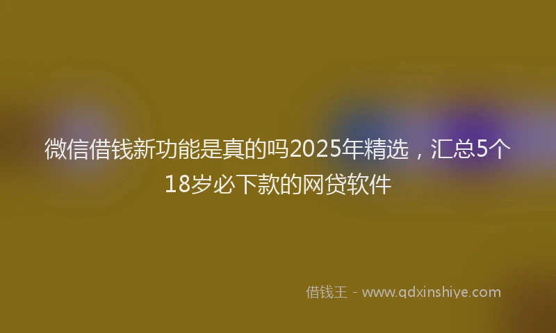 微信借钱新功能是真的吗2025年精选，汇总5个18岁必下款的网贷软件
