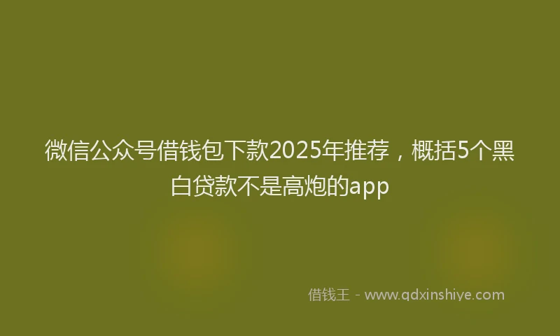 微信公众号借钱包下款2025年推荐，概括5个黑白贷款不是高炮的app