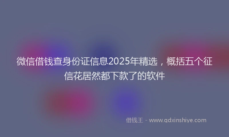 微信借钱查身份证信息2025年精选，概括五个征信花居然都下款了的软件