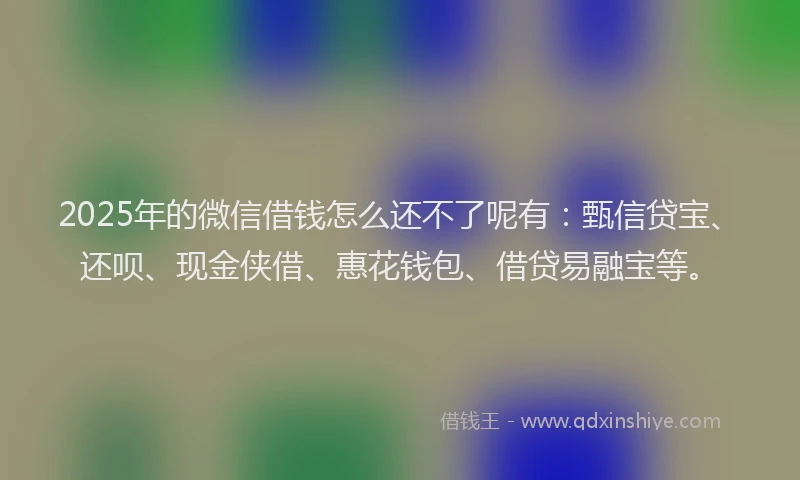 2025年的微信借钱怎么还不了呢有：甄信贷宝、还呗、现金侠借、惠花钱包、借贷易融宝等。