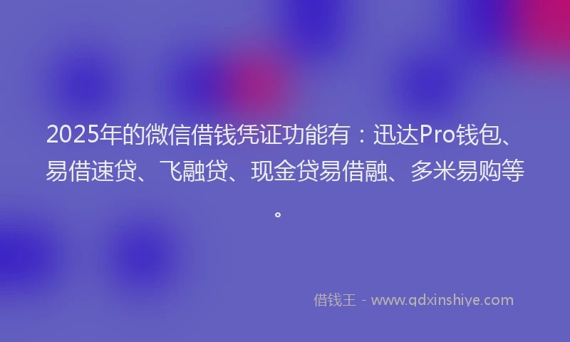 2025年的微信借钱凭证功能有：迅达Pro钱包、易借速贷、飞融贷、现金贷易借融、多米易购等。