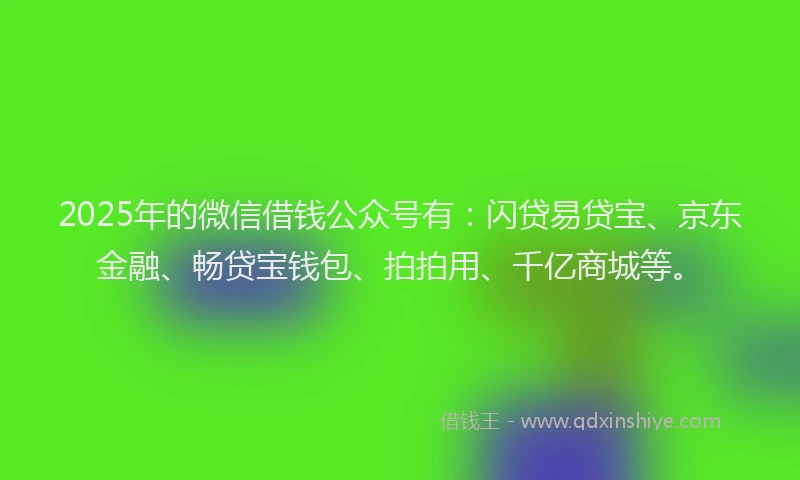 2025年的微信借钱公众号有：闪贷易贷宝、京东金融、畅贷宝钱包、拍拍用、千亿商城等。