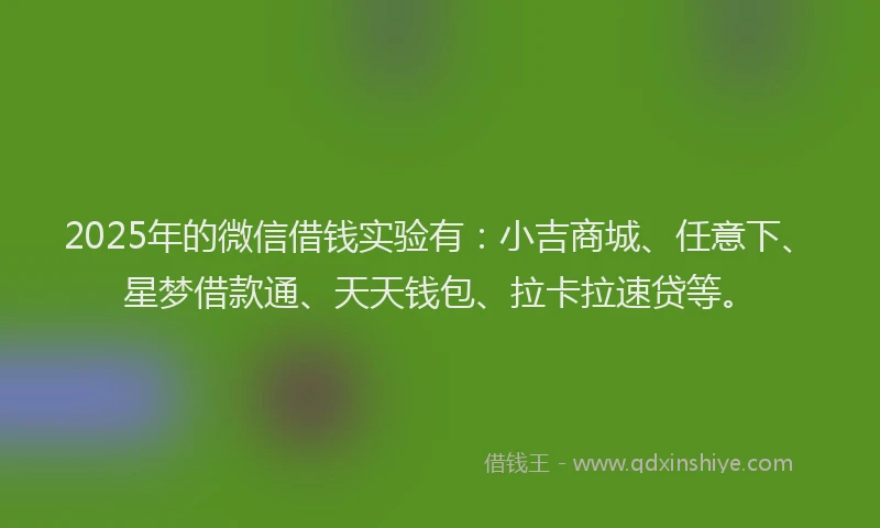 2025年的微信借钱实验有：小吉商城、任意下、星梦借款通、天天钱包、拉卡拉速贷等。