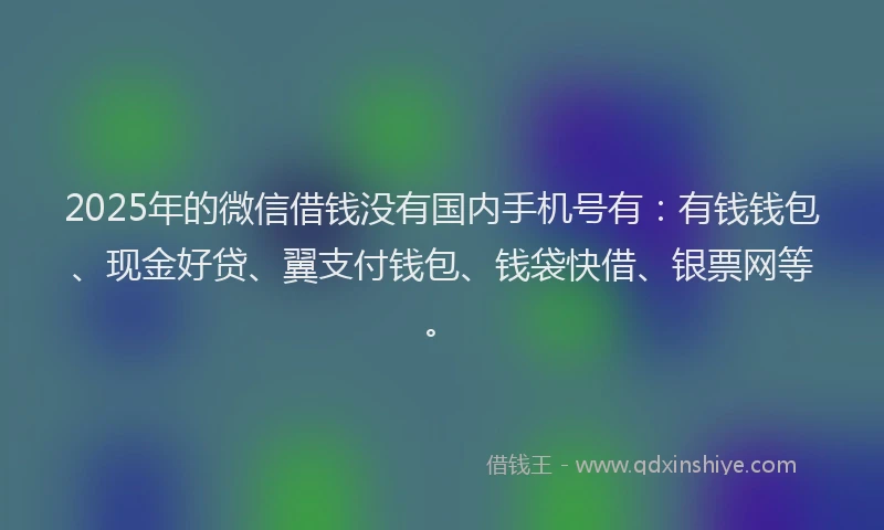 2025年的微信借钱没有国内手机号有：有钱钱包、现金好贷、翼支付钱包、钱袋快借、银票网等。