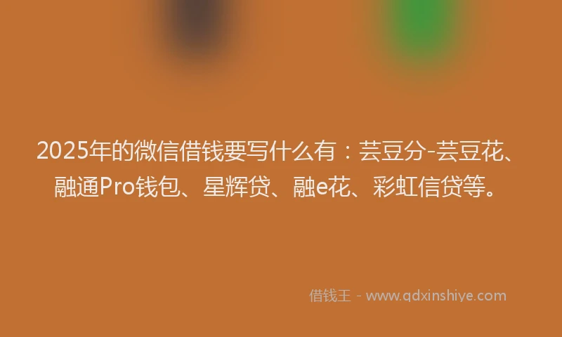 2025年的微信借钱要写什么有：芸豆分-芸豆花、融通Pro钱包、星辉贷、融e花、彩虹信贷等。