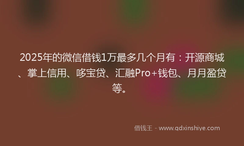 2025年的微信借钱1万最多几个月有：开源商城、掌上信用、哆宝贷、汇融Pro+钱包、月月盈贷等。