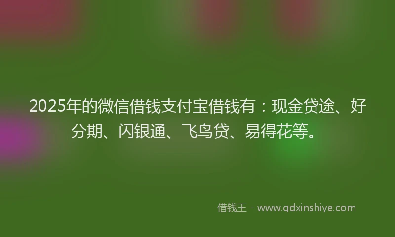 2025年的微信借钱支付宝借钱有：现金贷途、好分期、闪银通、飞鸟贷、易得花等。