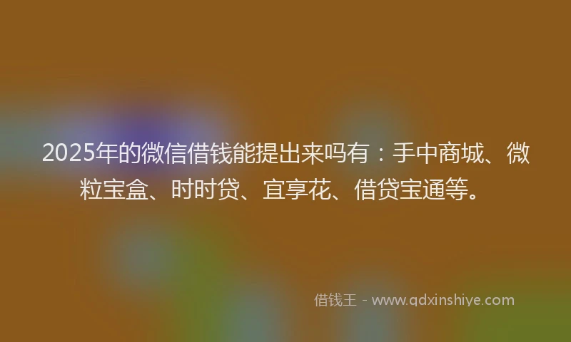 2025年的微信借钱能提出来吗有：手中商城、微粒宝盒、时时贷、宜享花、借贷宝通等。