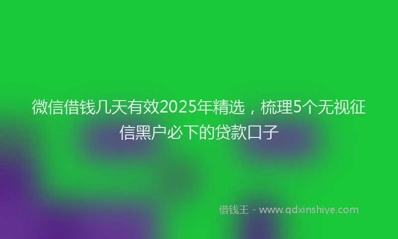 微信借钱几天有效2025年精选，梳理5个无视征信黑户必下的贷款口子