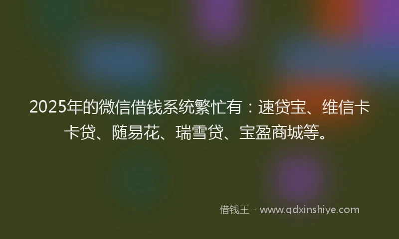 2025年的微信借钱系统繁忙有：速贷宝、维信卡卡贷、随易花、瑞雪贷、宝盈商城等。