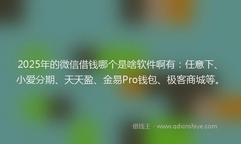 2025年的微信借钱哪个是啥软件啊有：任意下、小爱分期、天天盈、金易Pro钱包、极客商城等。